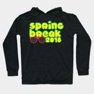 Spring Break 2018 Hoodie